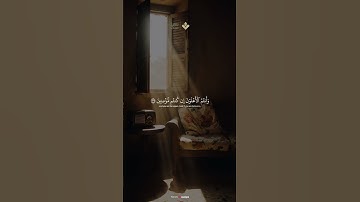 ولا تهنوا ولا تحزنوا || من سورة آل عمران | الشيخ محمد صديق #المنشاوي #قرآن