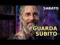 MOLECOLA ARCANA — l'audiolibro gratis di cui tutti parlano #Shorts