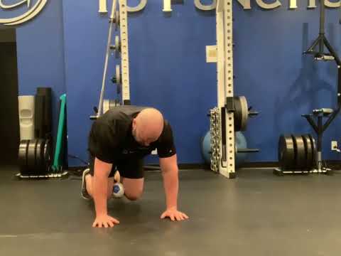 Push Up Plank Knee Hovers with Ball Squeeze