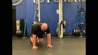 Push Up Plank Knee Hovers with Ball Squeeze