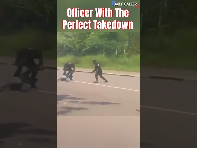 Officer Performs the Perfect Takedown!