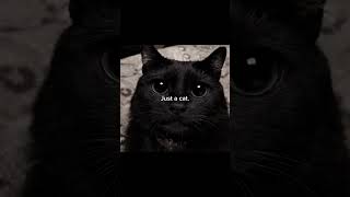 Famous Why do you keep remembering? || #memes #trending #viral Net Worth