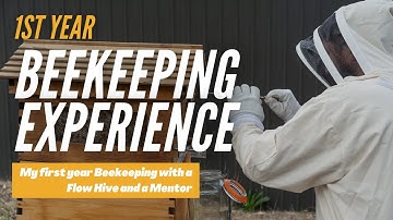 First Year Beginner Beekeeping using a Flow Hive