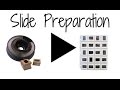 Slide Scanning Prep Tips & Ideas