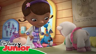 Disney Junior | Dia Das Mulheres Na Ciência