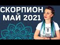 СКОРПИОН МАЙ 2021: Расклад Таро Анны Ефремовой