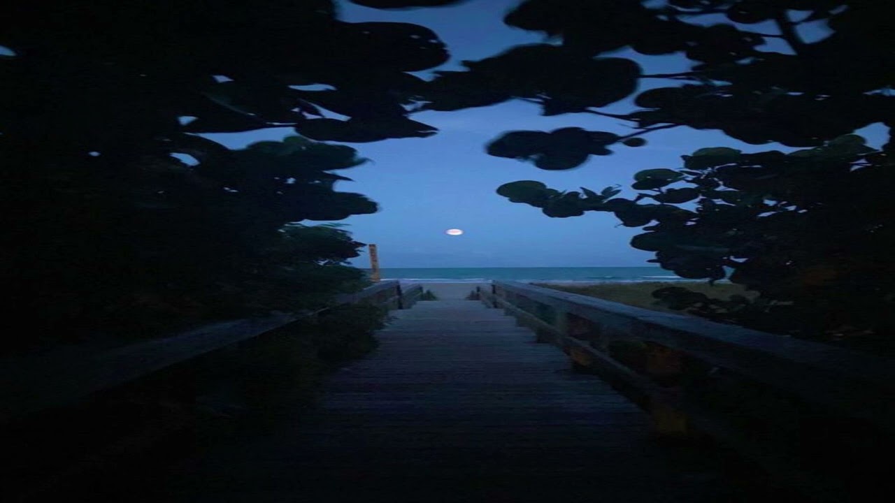 "Time Heals"-(prod by Adrian)