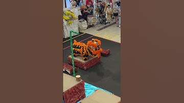 Thumbnail of 昔加末排海庙弘瑞龍獅團 Wai Mou International Traditional Lion Dance Competition 2025