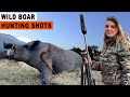 Wild Boar Hunting Shots // Chasse au sanglier // feat DivineChasse 2023