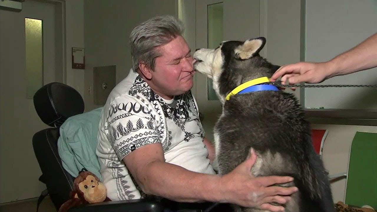 IE man reunites with beloved dog after woman gives him up at shelter ...