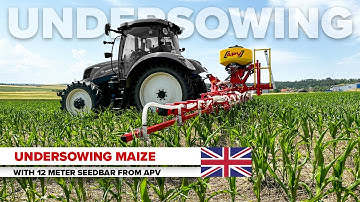 Undersowing in corn: How it works with the 12 m seed bar from APV!