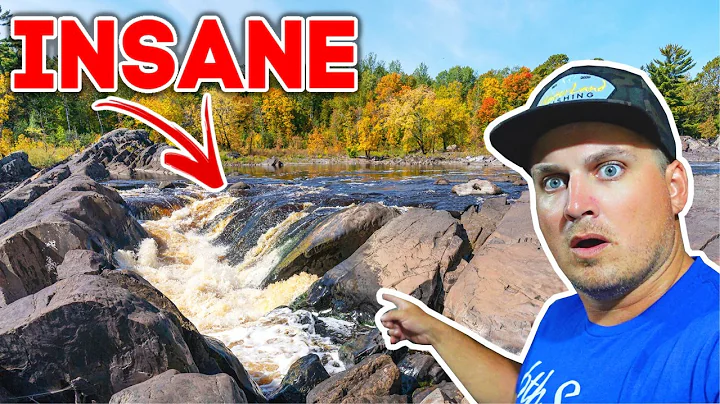 What Lives Below these RAGING Backwoods WATERFALLS??? (Absolutely LOADED with Fish!)