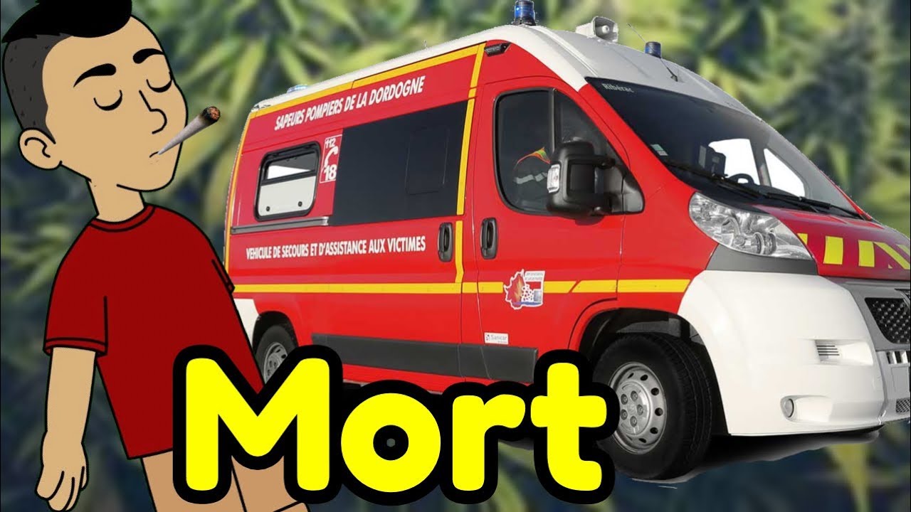 ZAMAL 🚫 MON L'EXPÉRIENCE