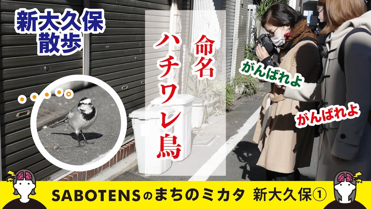 はみだす緑 黄昏の路上園芸』 刊行記念インタビュー | SABOTENS まちの