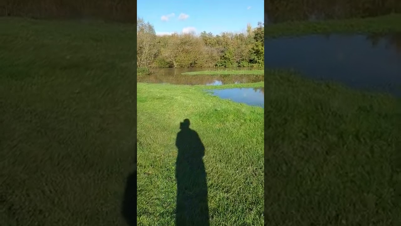 River at Norbury Park, 4/11/2022 - Part 1