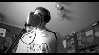 If the world was ending - Dominik Brzeziński (cover)