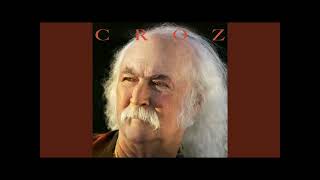 Rajnard sings- David Crosby - What's Broken