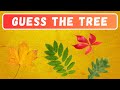 Guess the TREE from the LEAF | Questions and Answers Trivia Quiz Game