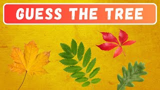 Guess the TREE from the LEAF | Questions and Answers Trivia Quiz Game screenshot 1