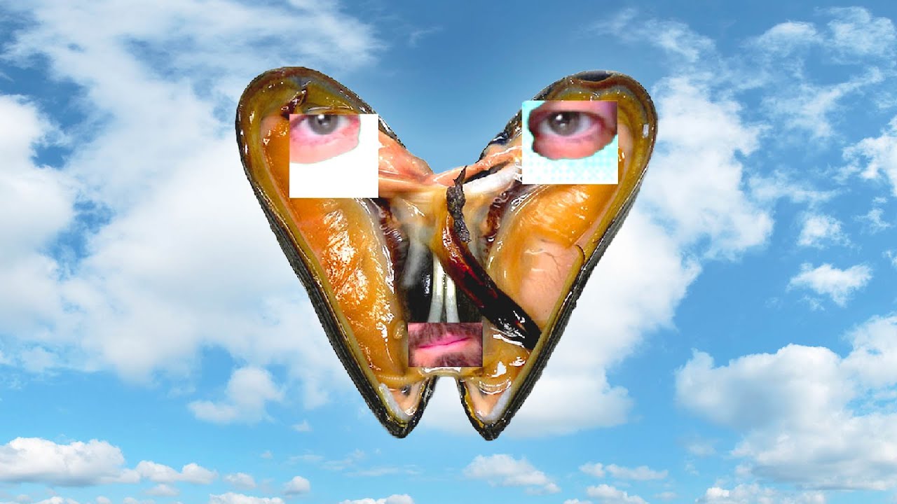 MULETTES & CROUSTICLAC - BEST OF TWITCH #9