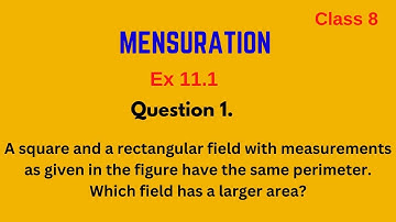 Ex 11.1 Class 8 Maths Question 1    A square and a rectangular field with measurements as given in