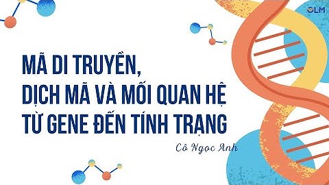 Mã di truyền, dịch mã và mối quan hệ từ gene đến tính trạng - Khoa học tự nhiên 9 - OLM.VN
