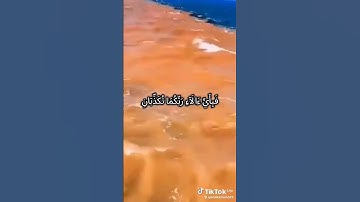 تدبر عظمه الخالق #القران الكريم