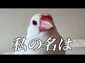 真実を伝えます