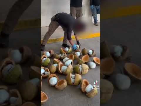 Huge mound of coconuts stuffed with fentanyl