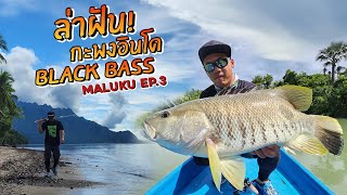 ล่าฝันกะพงอินโด Black Bass/Spotted tail! Maluku EP 3:
