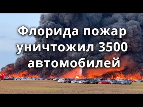 Video: Флорида штатындагы Жоголгон Кушу менен Биригишти