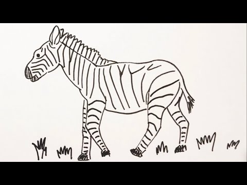 簡単 シマウマの描き方 イラスト お絵描き Easy How To Draw Zebra Illustration Draw Youtube