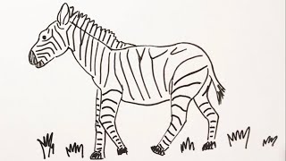 簡単 シマウマの描き方 イラスト お絵描き Easy How To Draw Zebra Illustration Draw Youtube