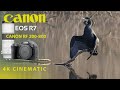 Canon r7 rf 200800 4k cinematic