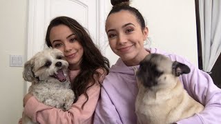 YouTube video guQLV9KYzzo