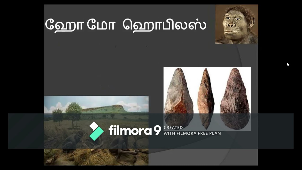 history grade 6 1st term #வரலாறு #பூமி #bronson