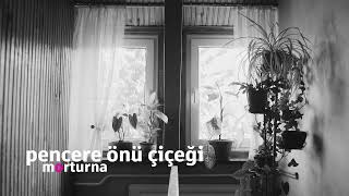 Pencere Önü Çiçeği (Bülent Ortaçgil) - Morturna (Cover)