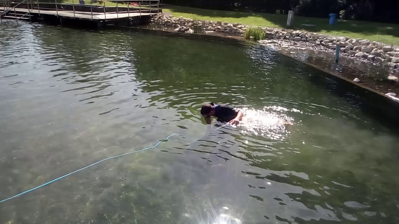 Algensauger Naturbad Nichtschwimmerbecken 1 YouTube