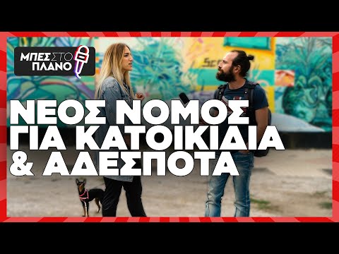 Βίντεο: Τι πρέπει να προσέξετε το νέο έτος για να διατηρήσετε το κατοικίδιο σας ασφαλές