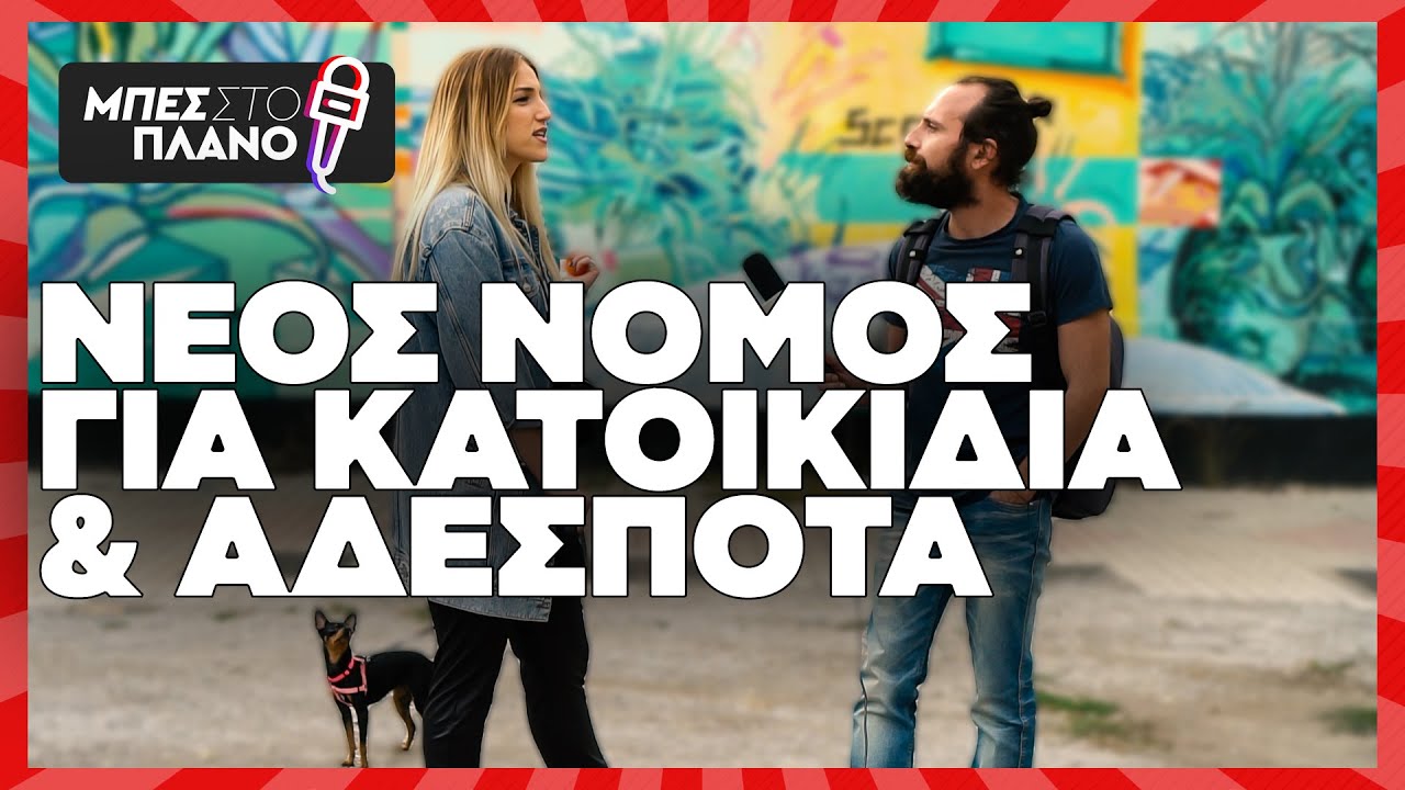 Παγκόσμια Ημέρα Ζώων: Τι αλλάζει για κατοικίδια και αδέσποτα με το νέο νόμο;