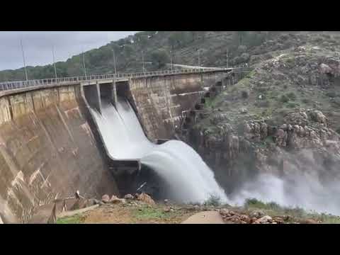 Olivargas aliviando agua