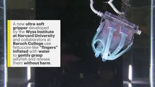 Soft Robotic Gripper for Jellyfish screenshot 5