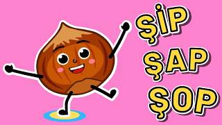 Kreş ve Anaokulu Şarkıları Ceviz Adam Şip Şap Şop 🏫