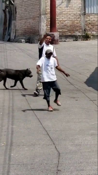 Bêbado e Desgovernado! 🤣