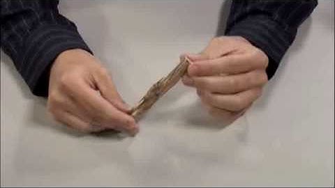 Limits of Size (Rule #1)