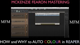 Reaper DAW - LEARN AND CHANGE 2 - How to auto colour icon and Layout  (Install SWS extensions first)