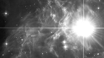 Light echoes around RS Puppis