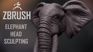 Zbrush sculpting ( Elephant Head ) Timelapse