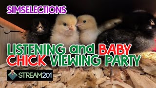 SimSelections: Listening & Baby Chick Viewing Party