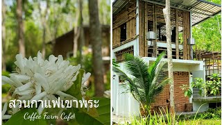 สวนกาแฟเขาพระ Coffee Farm Cafe รัตภูมิ สงขลา | Vlog | Ep 13